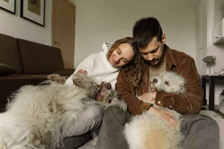 Lire la suite à propos de l’article Assurance animaux domestiques : chien, chat et responsabilité