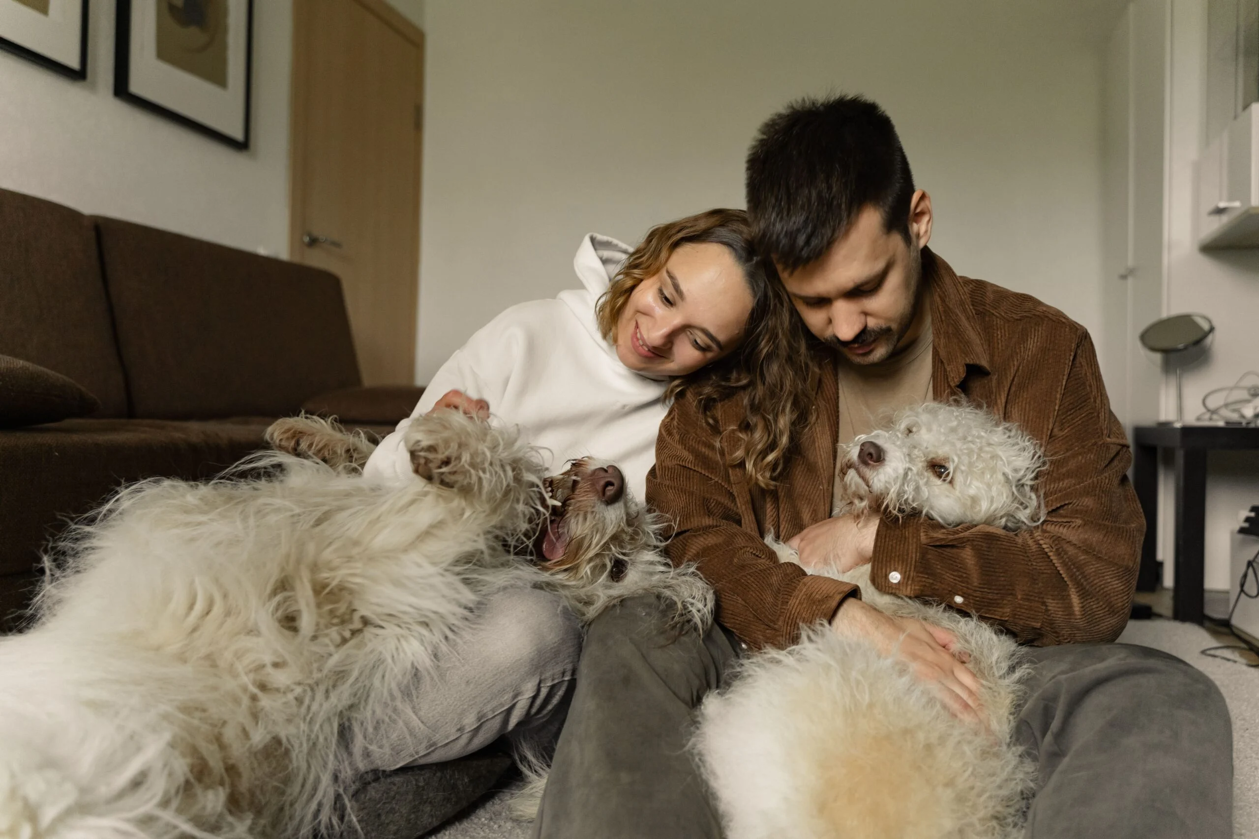 You are currently viewing Assurance animaux domestiques : chien, chat et responsabilité